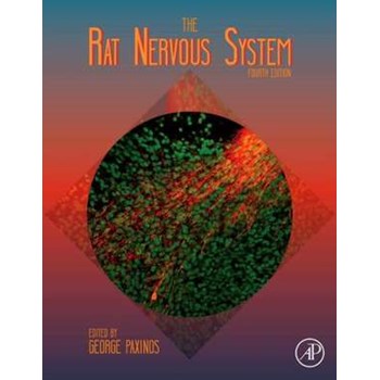 The Rat Nervous System
