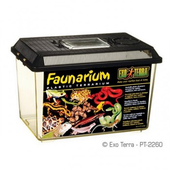 Faunarium Medium Pt 2260