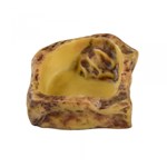 Castron Apa pentru Reptile Small