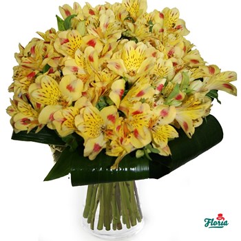 Buchet de 25 alstroemeria galbene
