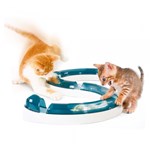 Cat Senses Play Circuit