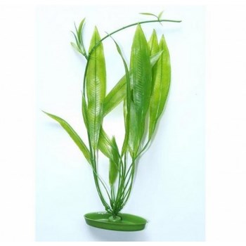 Plante Marina Amazon Sw 37,5 Cm Pp1501