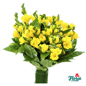 Buchet de 25 frezii galbene