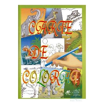 Carte de colorat - Ioan Neagu