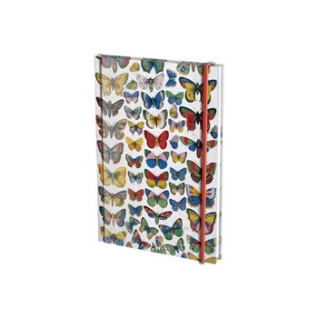 Agenda A6 Plaat met vlinders