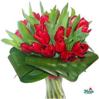 Buchet de 35 lalele rosii
