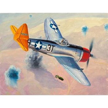 Avion Thunderbolt P-47D