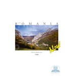 Made in Romania - Lb. Engleza