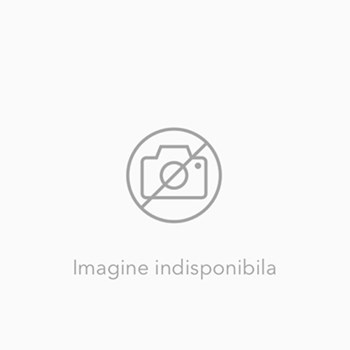 Civilizatii disparute si secrete ale trecutului