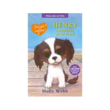 Henry, catelusul de pe plaja.