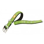Zgarda Dual Cf25/45 Verde