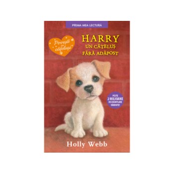 Harry, un catelus fara adapost