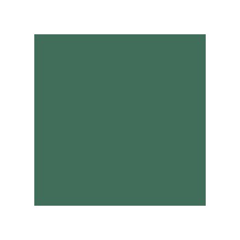 Colorama fundal carton 2.72 x 11m - Spruce Green