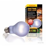 Bec Sun Glo - 100 W A21 Pt2112