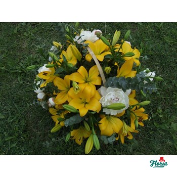 Buchet de 19 crini asiatici galbeni