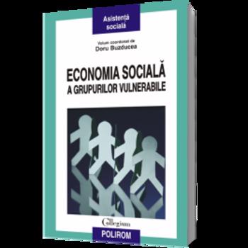 Economia sociala a grupurilor vulnerabile