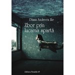 Zbor prin lucarna sparta
