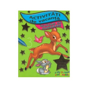 Activitati de vacanta. Invatam sa numaram
