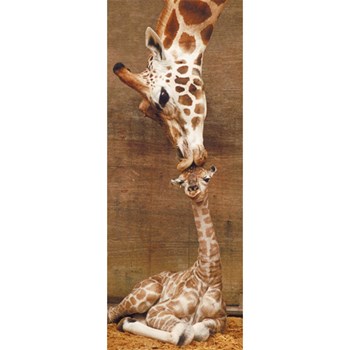 Puzzle primul sarut, 1000 piese, RAVENSBURGER Puzzle Adulti