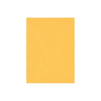 Creativity Backgrounds Sunflower 35 - Fundal carton 2.72 x 11m
