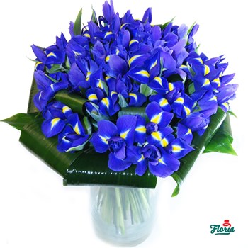 Buchet de 55 irisi mov