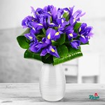 Buchet cu 11 irisi mov