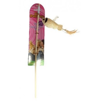 Paiatze Cat Undita Peste W1091