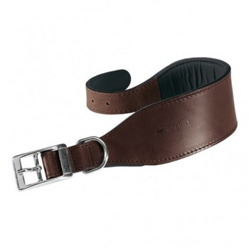 Zgarda Vip Wcm Medium